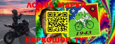 амф Можга
