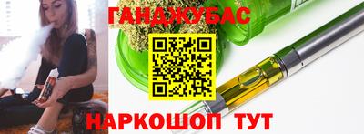 амф Можга